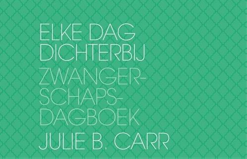 Elke dag dichterbij (9789045320854, Julie B. Carr), Livres, Grossesse & Éducation, Envoi