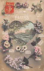 Fleurs - Mooi lot van 220 oude kaarten, zeer gevarieerd - De, Verzamelen, Gelopen