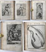 Tiberio Malfi - Il Barbiere di Tiberio Malfi da Monte, Antiek en Kunst