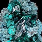 Dioptase de première qualité de la RD Congo - Hauteur : 5.3, Verzamelen