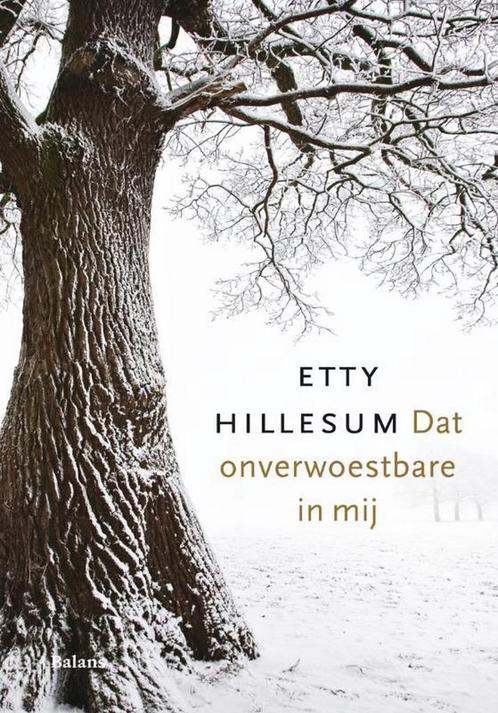 Dat onverwoestbare in mij 9789460033162 Etty Hillesum, Boeken, Literatuur, Zo goed als nieuw, Verzenden