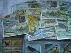 Collection thématique - Cartes éducatives décole (images, Antiek en Kunst