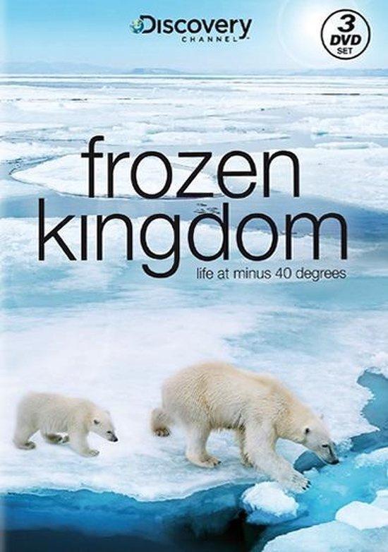 Frozen kingdom (dvd tweedehands film), Cd's en Dvd's, Dvd's | Actie, Ophalen of Verzenden