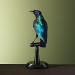 étourneau Support de corps entier pour taxidermie -, Verzamelen, Nieuw