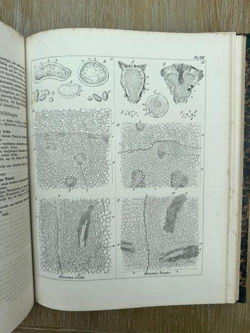 Dr Otto Berg - Anatomischer Atlas - 1865, Antiek en Kunst, Antiek | Boeken en Manuscripten