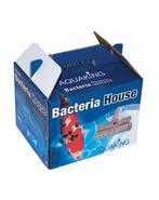 Bacteria house  box 320 stuks / 24 liter  (4 dozen), Ophalen of Verzenden, Nieuw