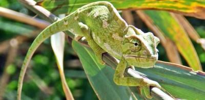 Freek Vonk Tickets | AFAS Live Amsterdam, Tickets & Billets, Billets & Tickets Autre