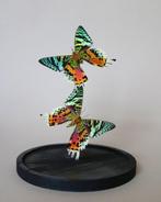 Vlinder Taxidermie volledige montage - Urania ripheus - 25