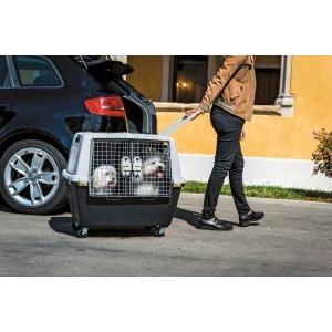 Box de transport gulliver touring iata, gris, 80x58x62cm -, Animaux & Accessoires, Accessoires pour chiens