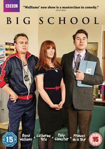 Big School DVD (2013) David Walliams cert 15, Cd's en Dvd's, Dvd's | Overige Dvd's, Zo goed als nieuw, Verzenden