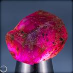 Zeer zeldzaam Padparadscha-kleur Saffier kristal 48,35 ct-
