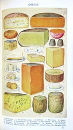 Mrs Beeton - Mrs. Beeton Household Management - 1923