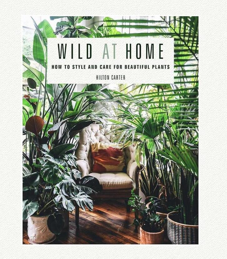 Wild at home 9781782497134 Hilton Carter, Boeken, Taal | Engels, Zo goed als nieuw, Verzenden