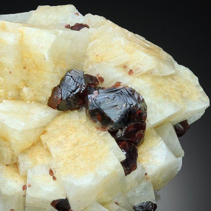 Geërodeerde rode SPESSARTINE GARNET op FELDSPAR uit Shengus, Collections, Minéraux & Fossiles