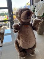 Steiff - Teddybeer Baloe de beer - 2000-2010 - Duitsland, Antiek en Kunst