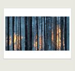 Jorge Omeñaca (1981) - Forest on fire - XL