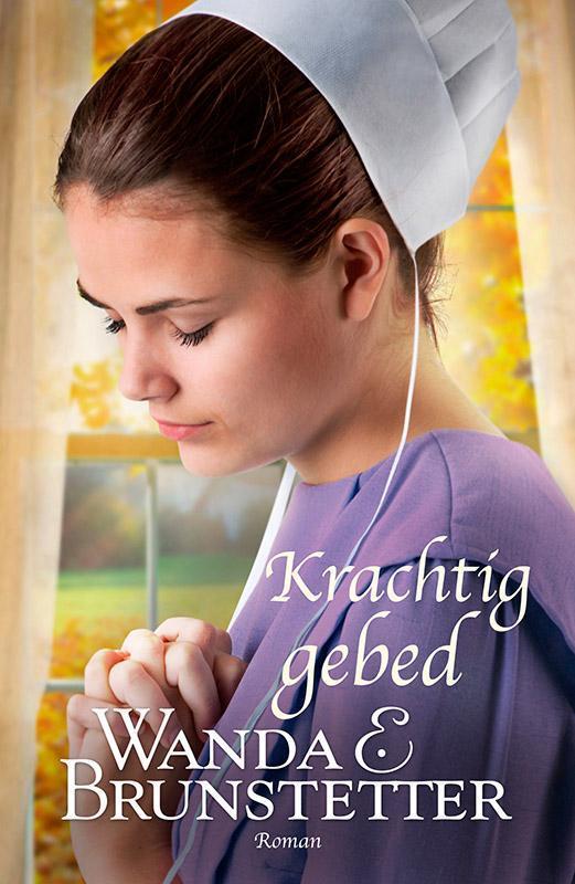 Krachtig gebed / De Indiana Amish / 2 9789088653353, Boeken, Romans, Gelezen, Verzenden