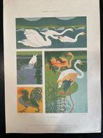 Themacollectie - Collectie van lithos in chromolithografie