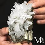 Magnifieke cluster Quartzkristallen op pyriet –, Verzamelen