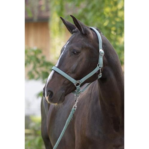 Halster doria, jade green pony - kerbl, Dieren en Toebehoren, Paarden en Pony's | Overige Paardenspullen, Nieuw