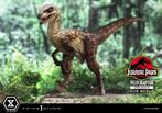 Jurassic Park Prime Collectibles Statue 1/10 Velociraptor Op, Nieuw, Ophalen of Verzenden