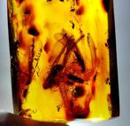 Barnsteen, Verzamelen