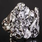 Campo del Cielo - meteoriet – ijzer-nikkel met