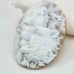 CASSIS MADAGASCARIENSIS - Camée - Camée incisé à la main