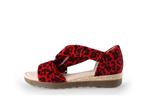 Gabor Sandalen in maat 37½ Rood | 5% extra korting, Verzenden, Gabor, Sandalen of Muiltjes, Gedragen