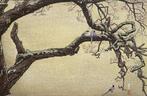Jyuzu kake no Ume (Plum Tree & Blue Magpie) - Toshi