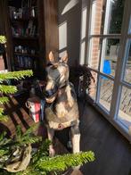 cheval indien de cérémonie/temple - Bois, Laiton, Peinture,