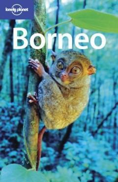 Borneo 9781740591058 PLANET Lonely, Livres, Langue | Anglais, Envoi