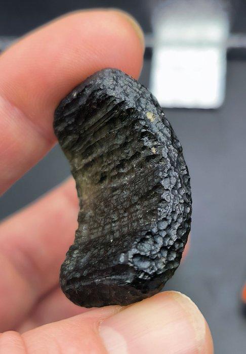 Moldavite - de Loenice, Bohême du Sud - Hauteur : 41 mm -, Verzamelen, Mineralen en Fossielen