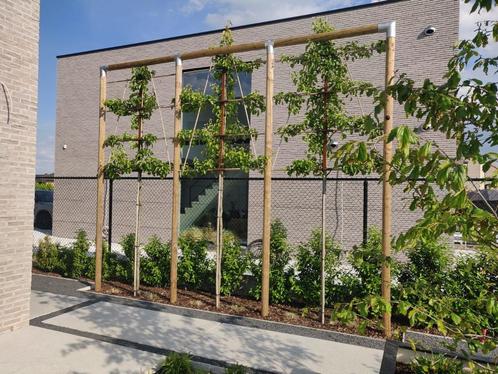 Leilinde Constructie Pakket Verzinkt, Tuin en Terras, Overige Tuin en Terras, Verzenden