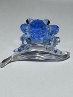 Swarovski - Beeldje - SCS - Blue Dart Frog - Event Piece