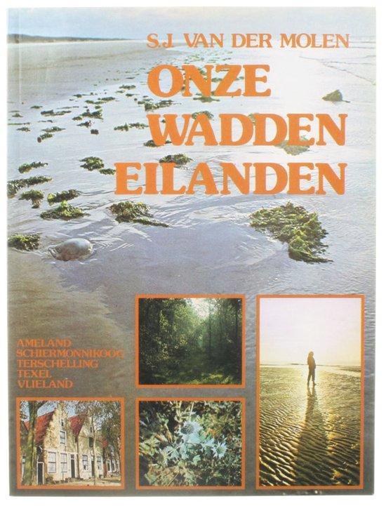 Carlota Fainberg 9789065130938 Molen, Boeken, Overige Boeken, Gelezen, Verzenden