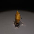 Paleolithisch Vuursteen Bijl of stenen werktuig uit