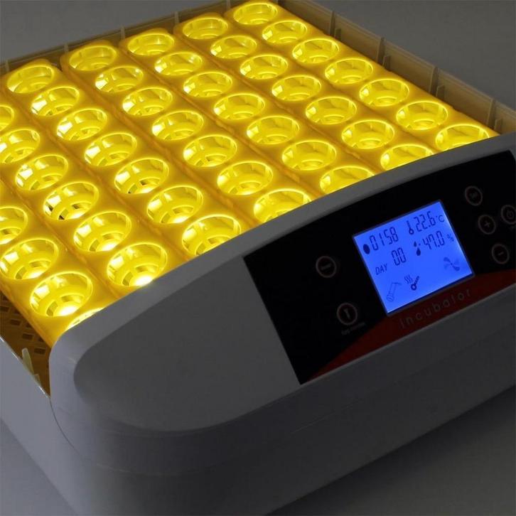 HHD 42 broedmachine automaat + GRATIS broedeieren, Dieren en Toebehoren, Pluimvee | Toebehoren, Nieuw, Verzenden