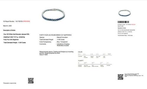 Sans Prix de Réserve - Bracelet - 14 carats Or blanc -, Handtassen en Accessoires, Antieke sieraden
