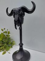 mouton Crâne de mammifère - geen idee - 42 cm - 22.5 cm - 26, Antiquités & Art