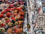 Fabian Kimmel - Central Park Autumn II, New York, Antiek en Kunst