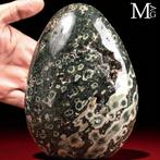 Niet veel op de markt De zeldzame 4e ader Ocean Jasper -