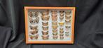Palearctique Moths / Butterflies ex COLLET Belgium, Verzamelen, Dierenverzamelingen, Nieuw