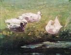 Jacobus Johannes Doeser (1884-1970) - Ducks and a pigeon in