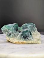Groene fluoriet Kristalen- 548 g - (1), Verzamelen, Mineralen en Fossielen