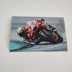 KTM - Gas Gas - MotoGP - Pedro Acosta - 2024 - Foto, Nieuw