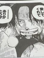 ONE PIECE - 1 Official Manga Page, Reproduction, Livres