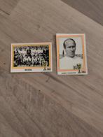 Panini Argentina 78 World Cup Nombreuses dimages comprenant, Verzamelen, Nieuw