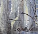 Joan Suriñach (1943) - Sant Privat den Bas, Antiek en Kunst