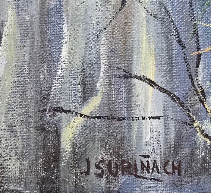 Joan Suriñach (1943) - Sant Privat den Bas, Antiek en Kunst, Kunst | Schilderijen | Klassiek